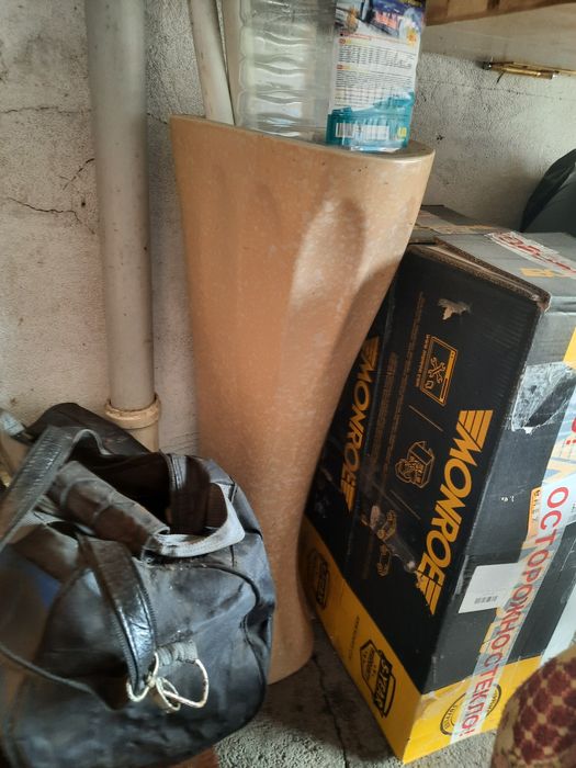 Раковина тюльпан.