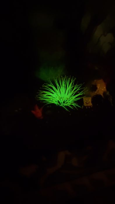 Готовые аквариумы под ключ