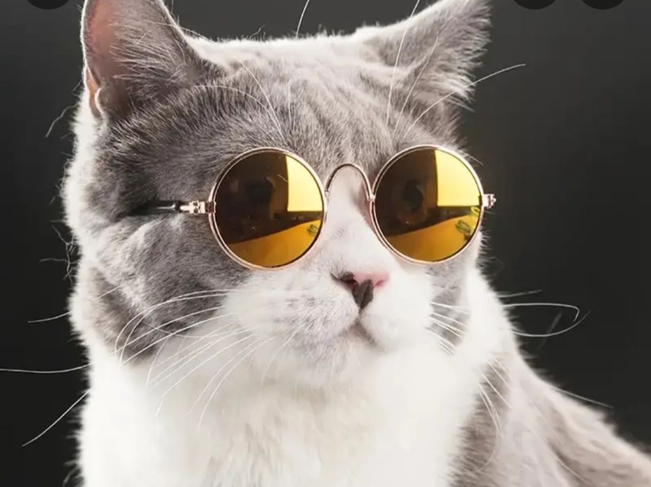 Продам очки для кота или маленькой собачки