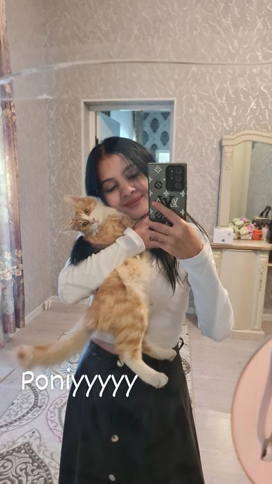 Sariq oq mushukchani bolachasi xadiyaga beriladi