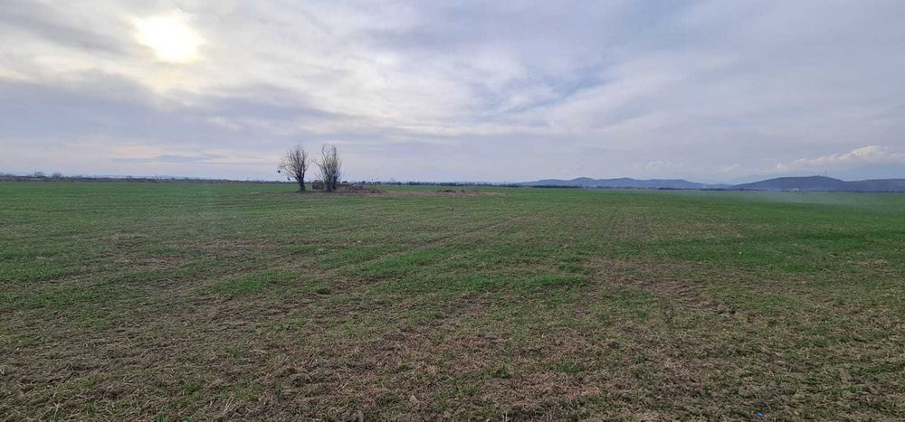 Teren Extravilan Voinigești, Gorj