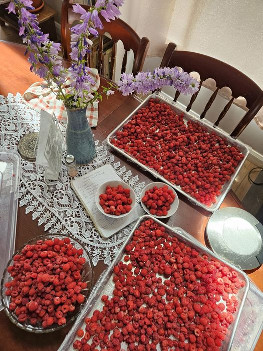 Casa la țara cu 34 ari, €25,000, sat Mircești,  com Tăcută, jud Vaslui