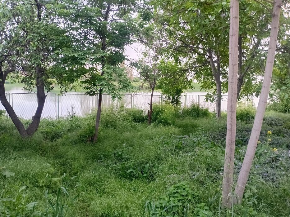 Продаю дом мечты у воды Ташморе