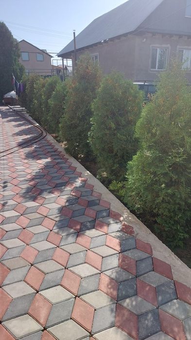 Туи от 13 тысяч.