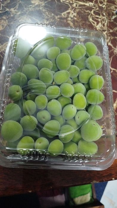 Довча музлатилган