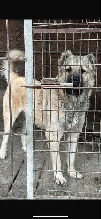 Обмен предлогайте