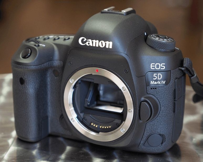 Canon EOS 5D Mark IV   2pokoleniya obektiv 24 105