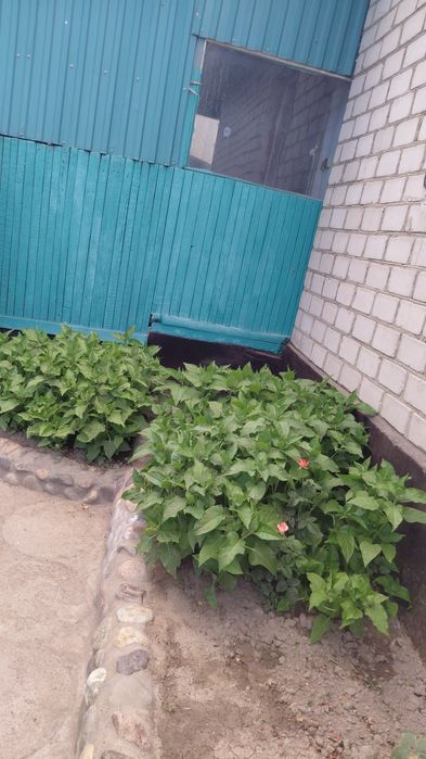 Срочьно продам дом