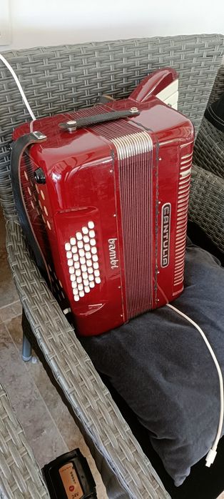 Acordeon copii Cantulia