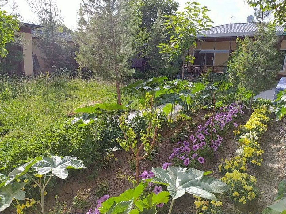 Ижара, Аренда. Ховли уй 6 сотих, 2 хонали, Янгийул, Ленинизм.. 250$