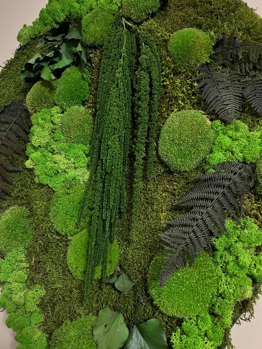 Tablou natural muschi si licheni