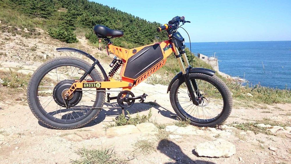 Качественный ремонт Электровелосипедов!