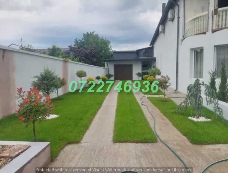 Gazon Rulou Premium cu Livrare Rapidă în Toată Țara