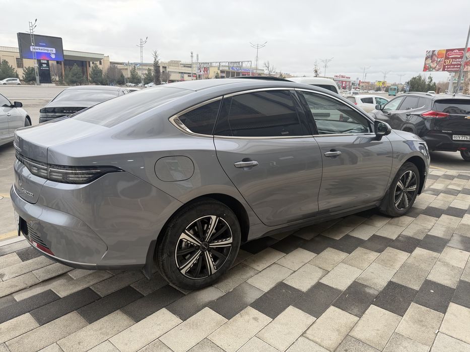 BYD CHAZOR 3  позиция 120 талик