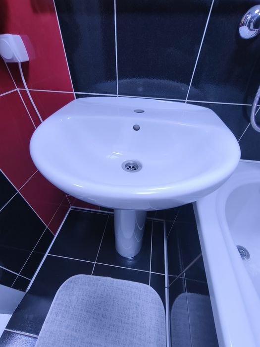 Раковина тюльпан