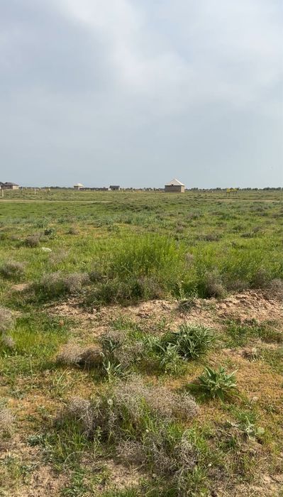 Қайнарбұлақта Жер сатылады
