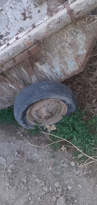 Arava Арава Эшакарава