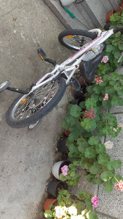 Колело колело reactor