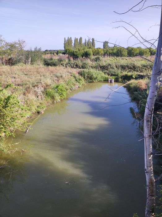 Dala shiponi sotiladi