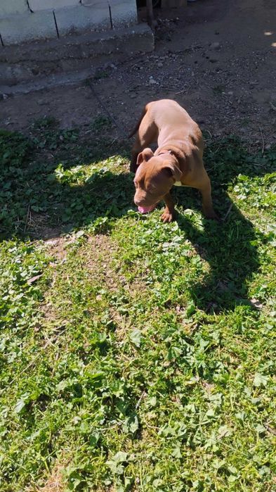 Мая на 9месеца!!!