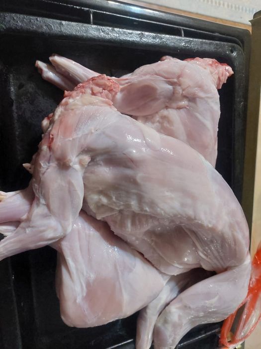 Мясо кролика недорого