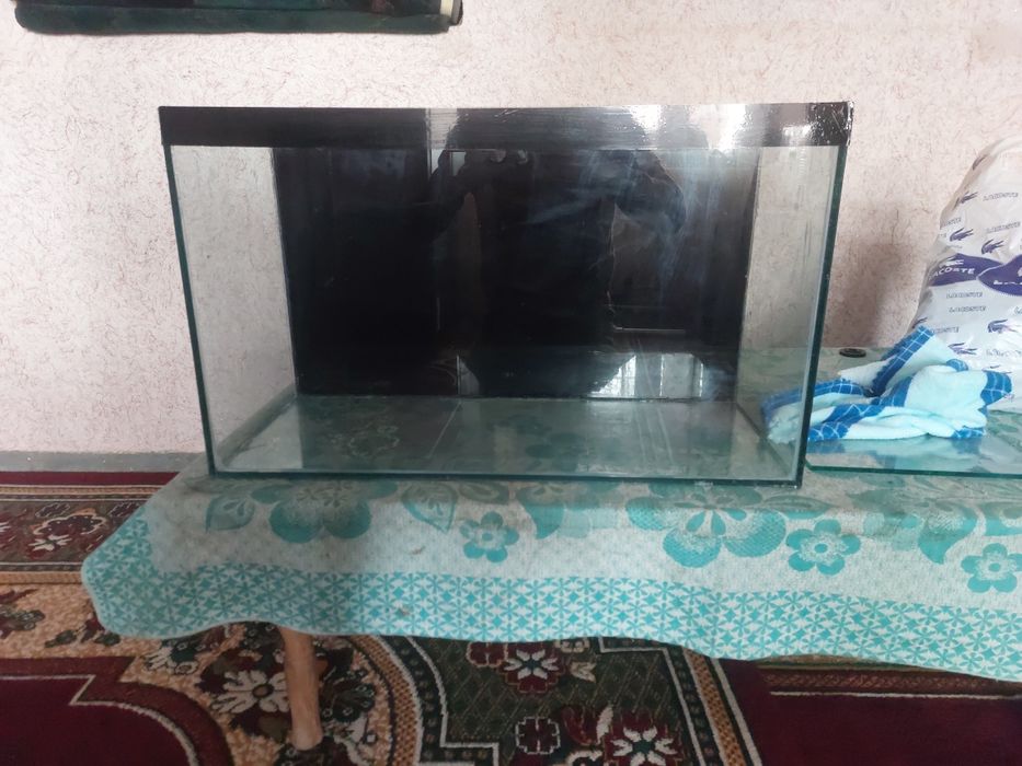 Akvaryum sotiladi 55litr