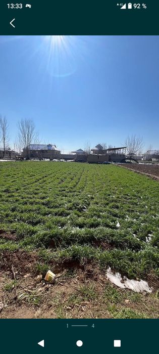 Yer sotiladi. Ер сотилади Арзон. Arzon yer. Сурхандарё Денов.