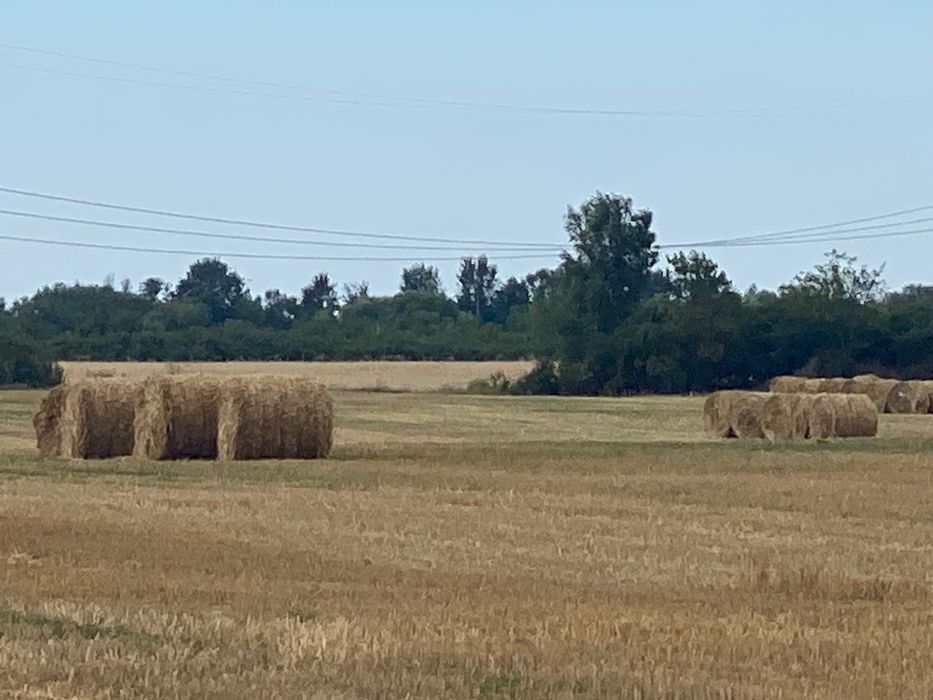 Baloți de paie grâu și ovăz  1.20 x1.20