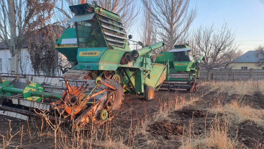 конбаин Нива Эфекті