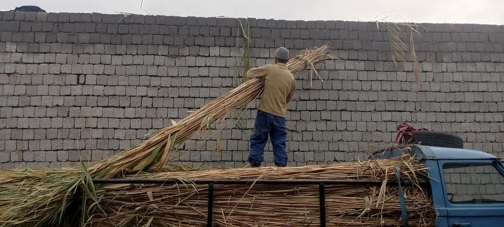 Ломбоз учун  камиш лобозга ишлатгани 1.5 кв 5 см 10 см калинликда йопа