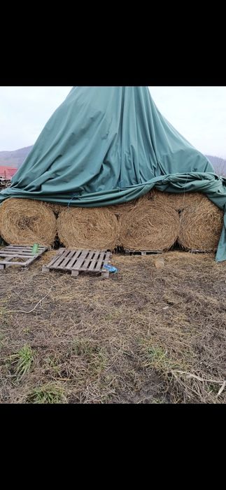 Baloti Rotunzi Lucerna min.40.sau fan.Drept.min.500.Transport>RO UE

B