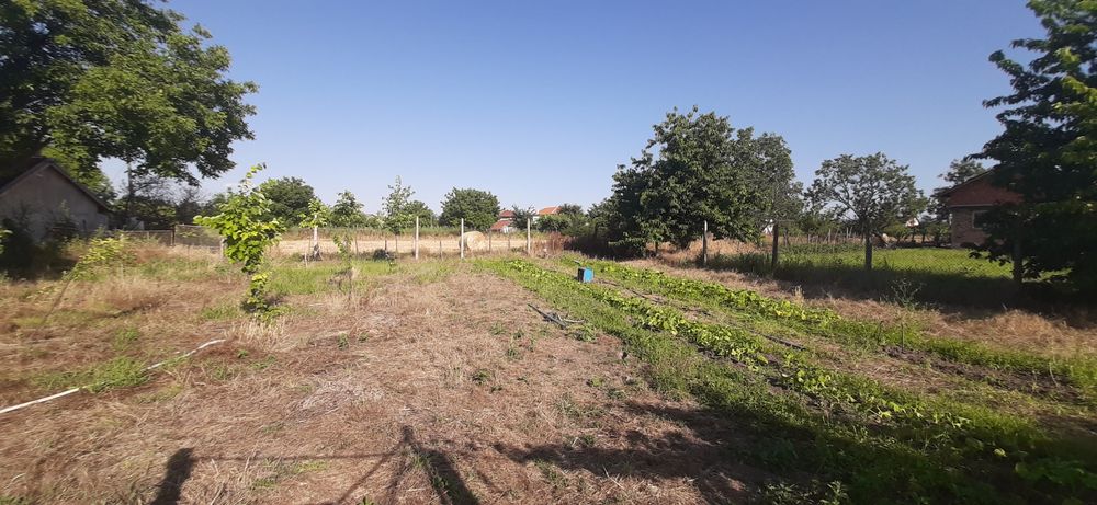 Продава се Земеделски имот в с. Конуш, Област Пловдив -  кв.м за 20000 €/дка - Снимка #2