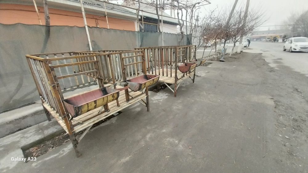 Qoyxonalar mol qoy uchun oxirlar kataklar va quyknxknakar