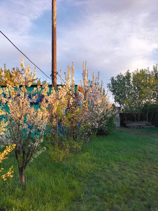 Продам дом. Г.Щучинск