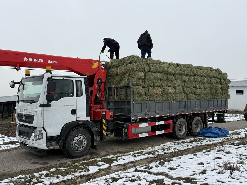 Жоңышқа, шөп, пресс тюк, люцерна