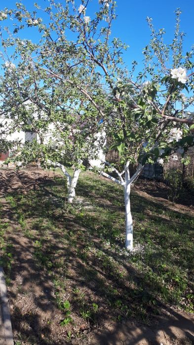 Продается дача на Курилкино, с/о Химик