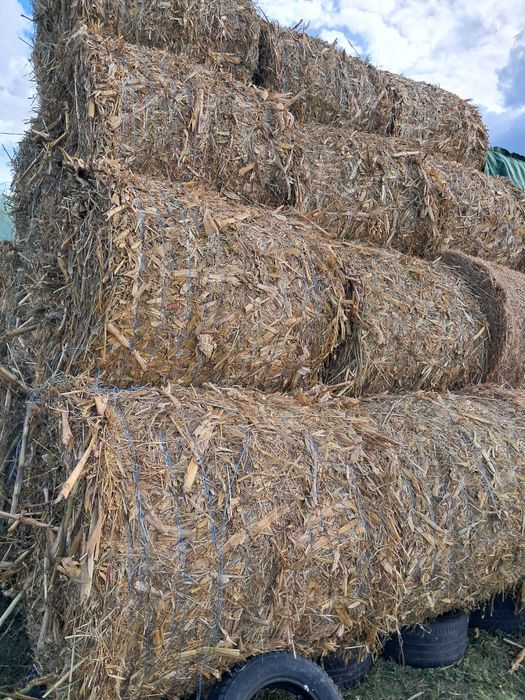 Vând  baloţi de coceni și de paie