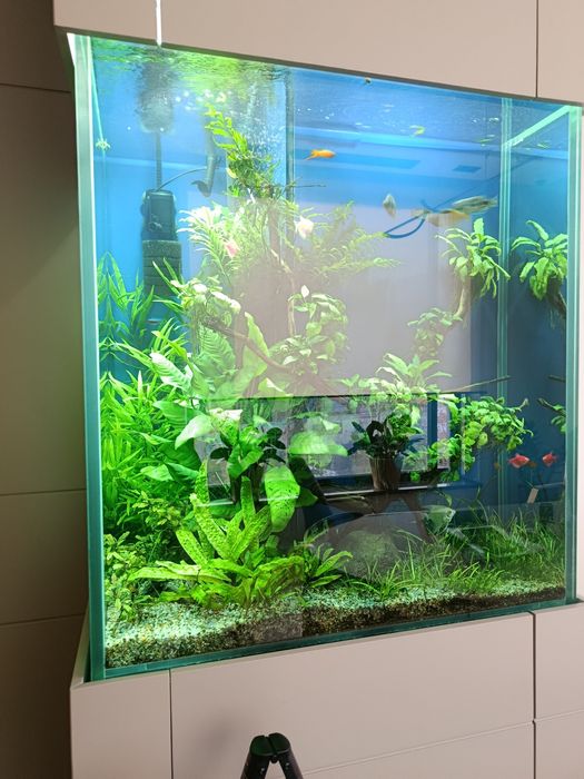 Чистка аквариума, обслуживание