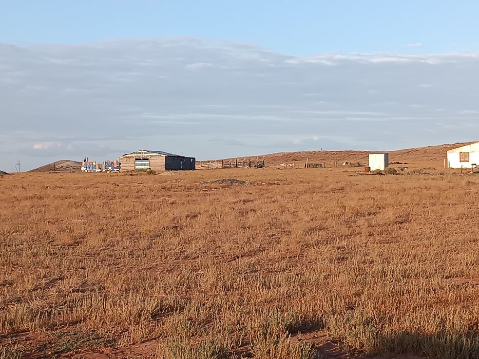 Сельское хозяйство