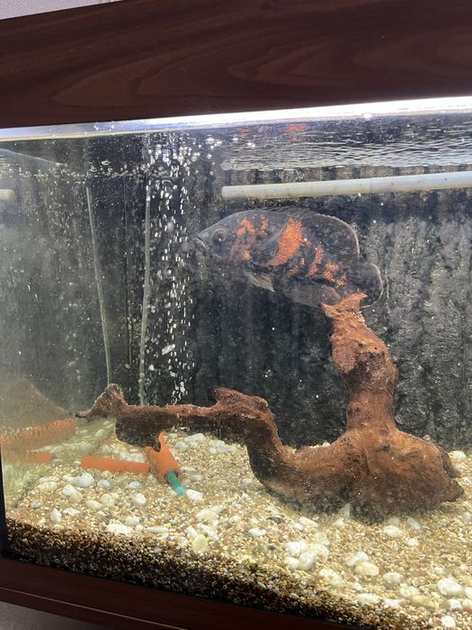 Продажа аквариума