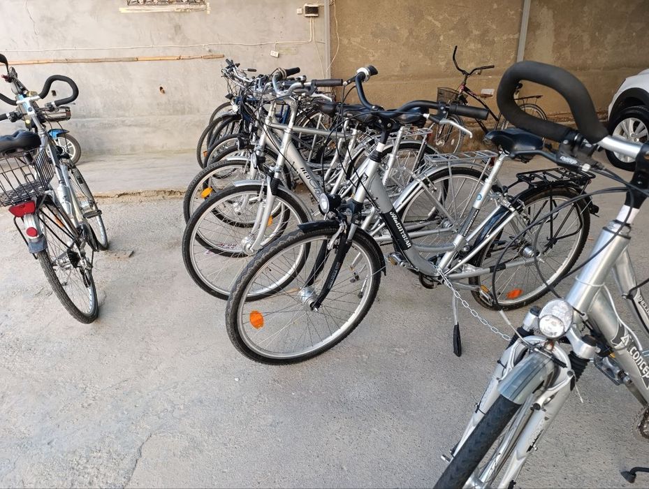 veliklar sotiladi narxini keliwamz 100$ dan 300$ dollargaca bor