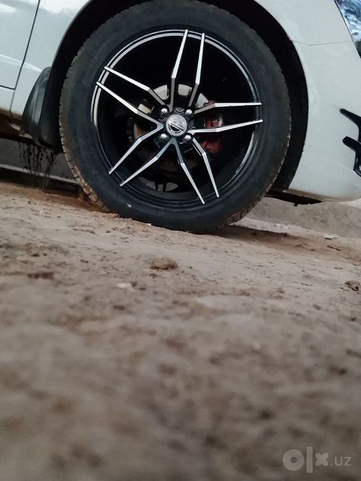 R 17 vossen sakadiska