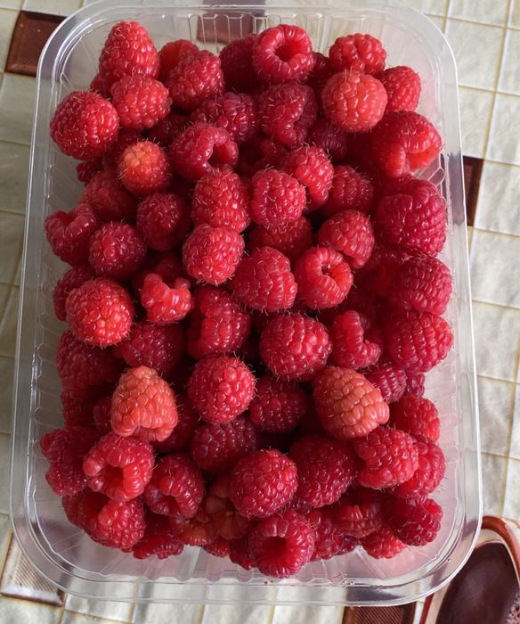 Малина 2500 за кг