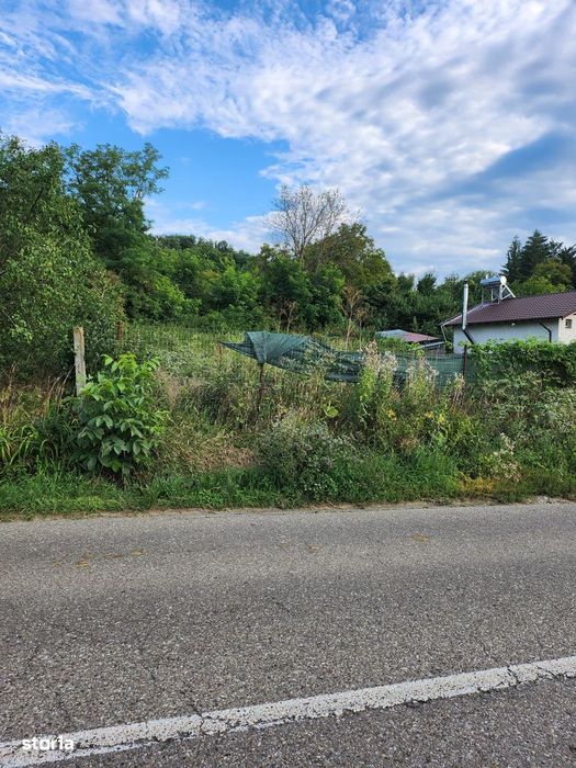 Teren intravilan in Buhoci