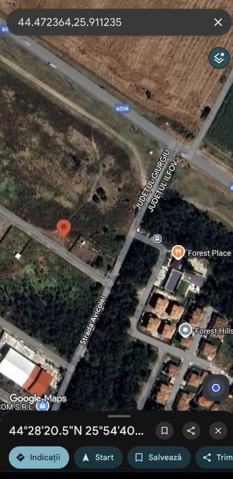 Teren 805 mp Joița/Bâcu/ 40 ml deschidere/ 1 km de A0