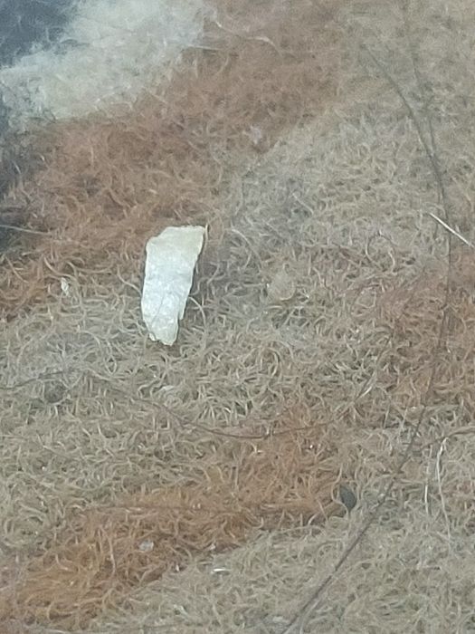 Продаётся Realme 2x pro