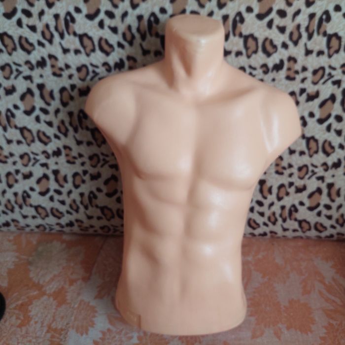 Продам торсы. Отличное состояние.