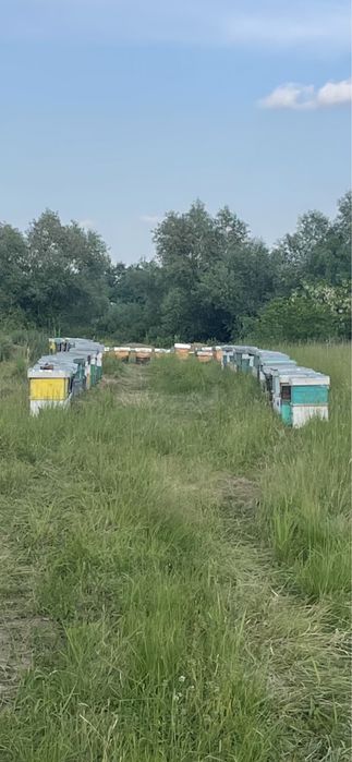 Macara Hiab bobcat platforma