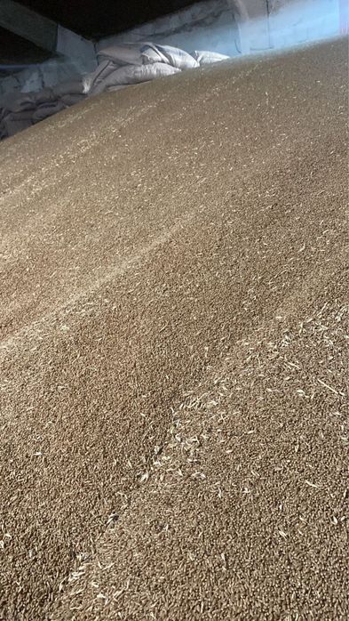 Зерно в мешках , пшеница