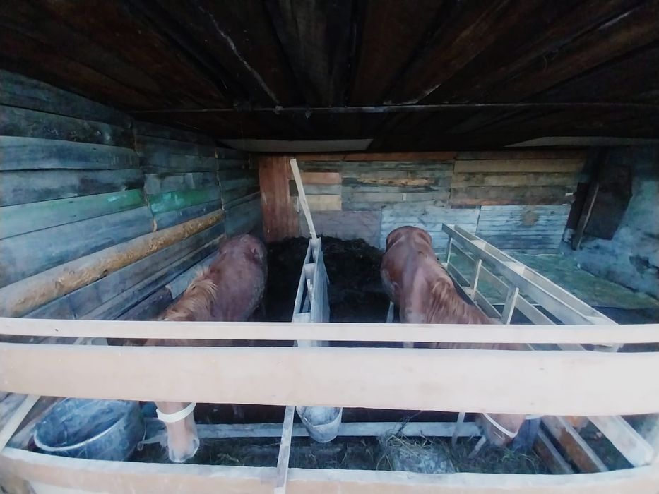 Продам частный дом Дачный мкр